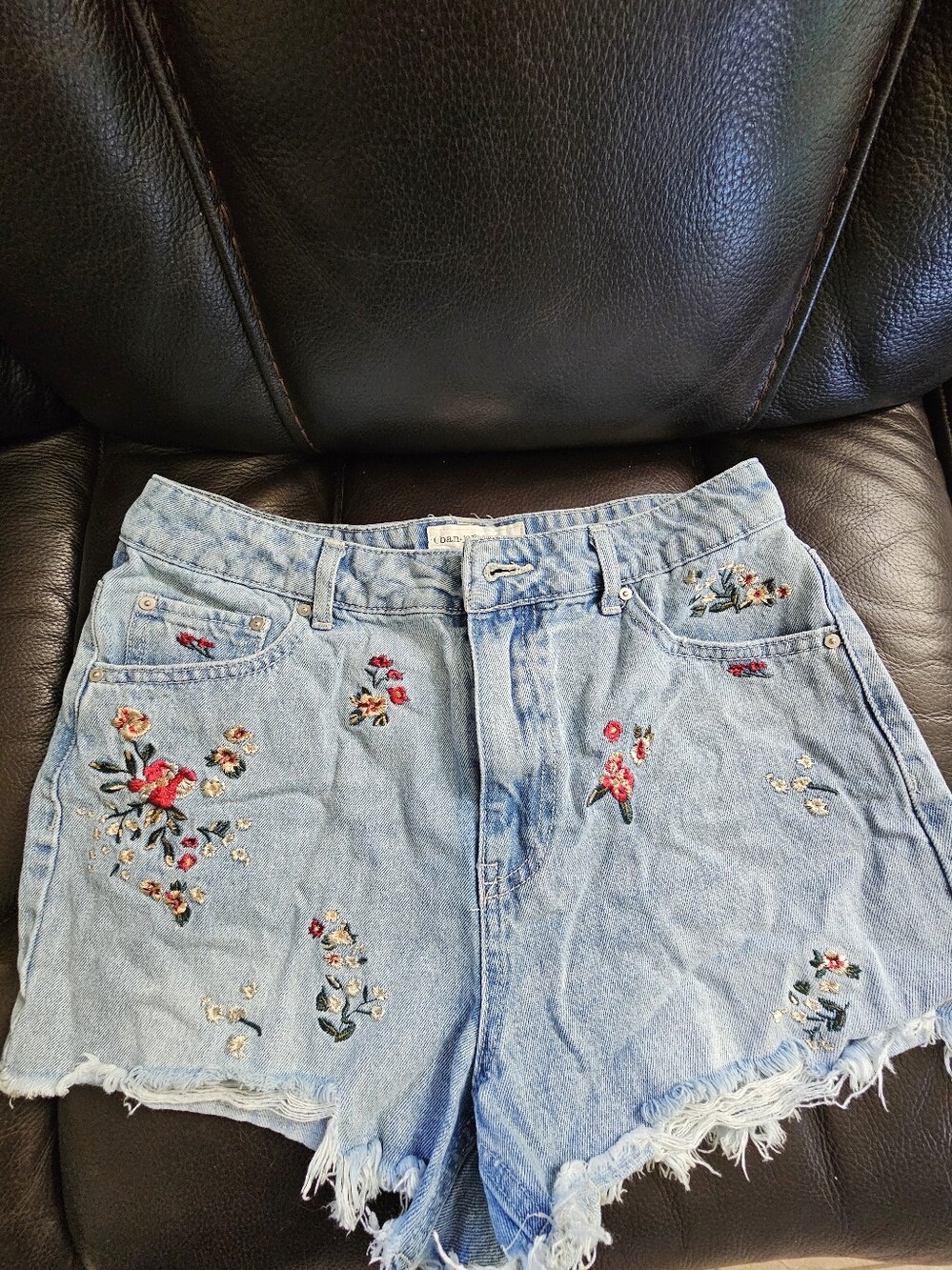 Embroidered Light Blue Denim Women's Shorts